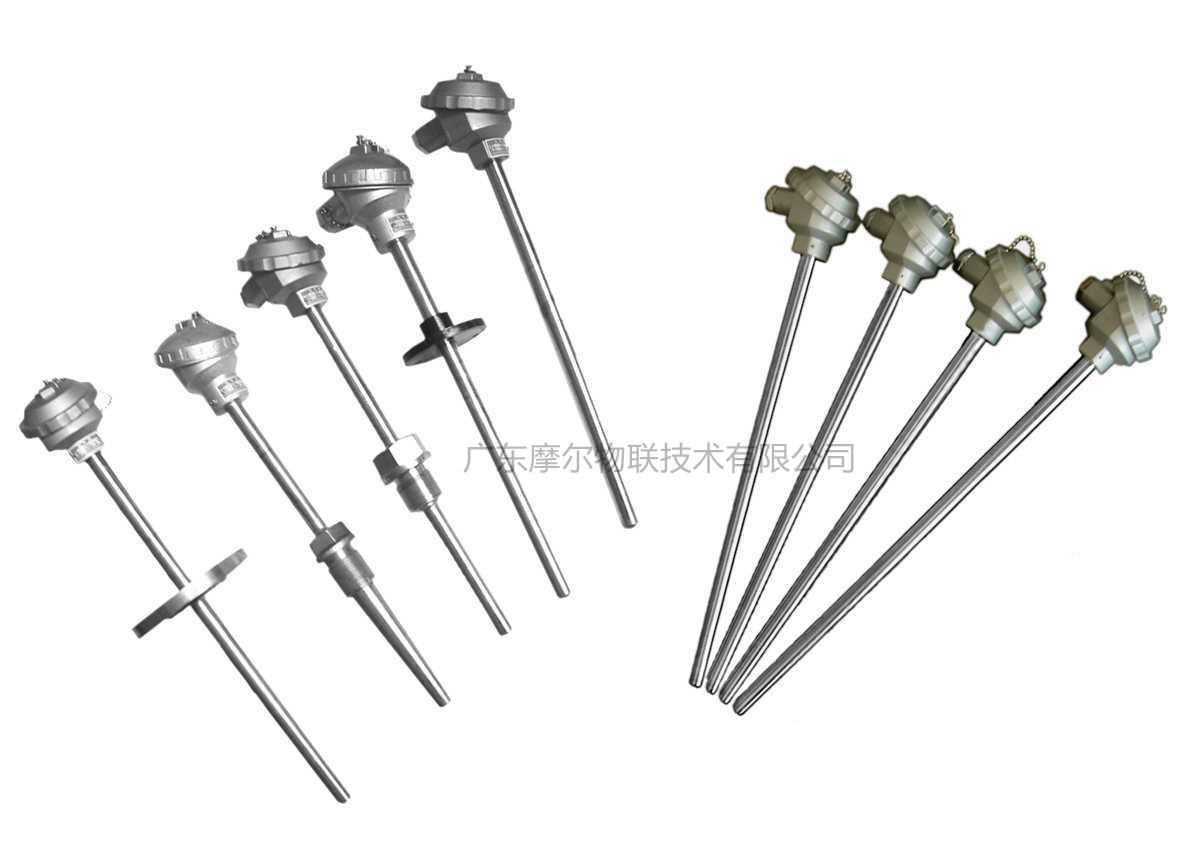 一体化温度变送器(图1)