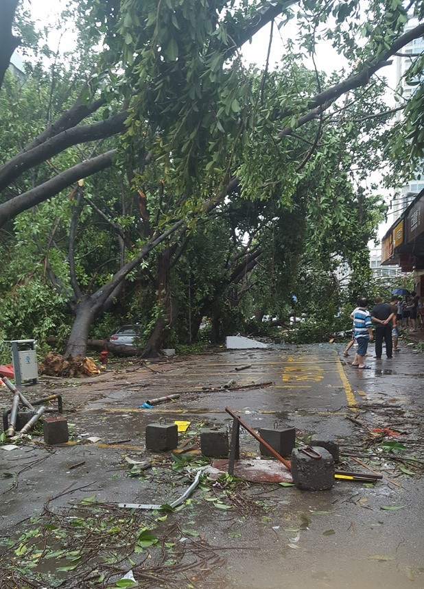 台风“天鸽”肆虐珠海，广东摩尔全员投入抢险救灾(图1)